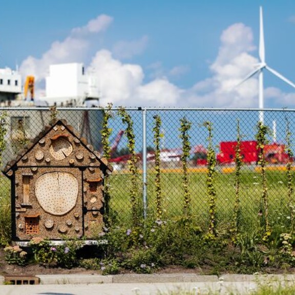 Locatie-Capriweg-03 